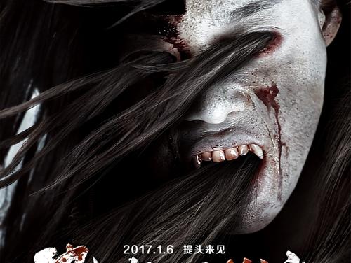 高中毕业证可以查高考成绩吗